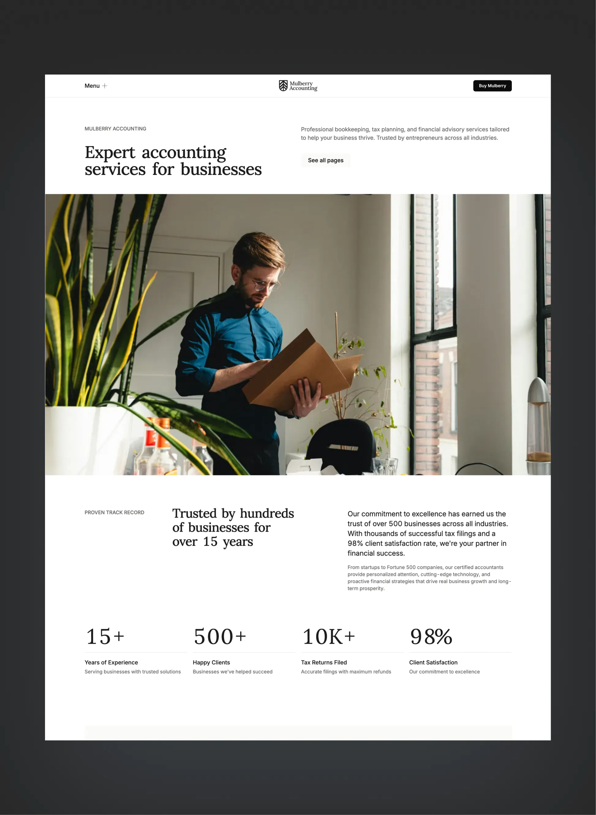 Mulberry accounting landing page with clean, professional layout