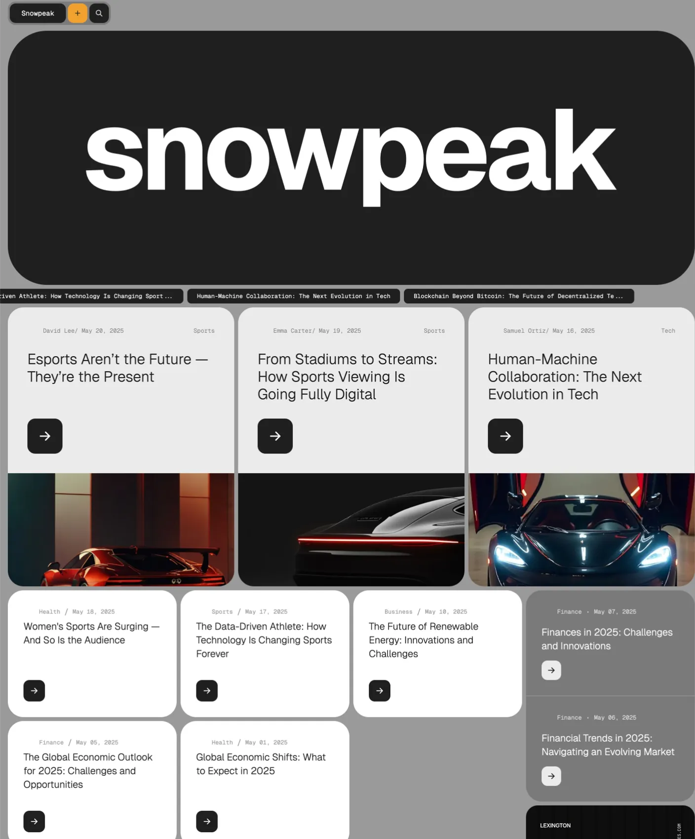 Snowpeak homepage layout