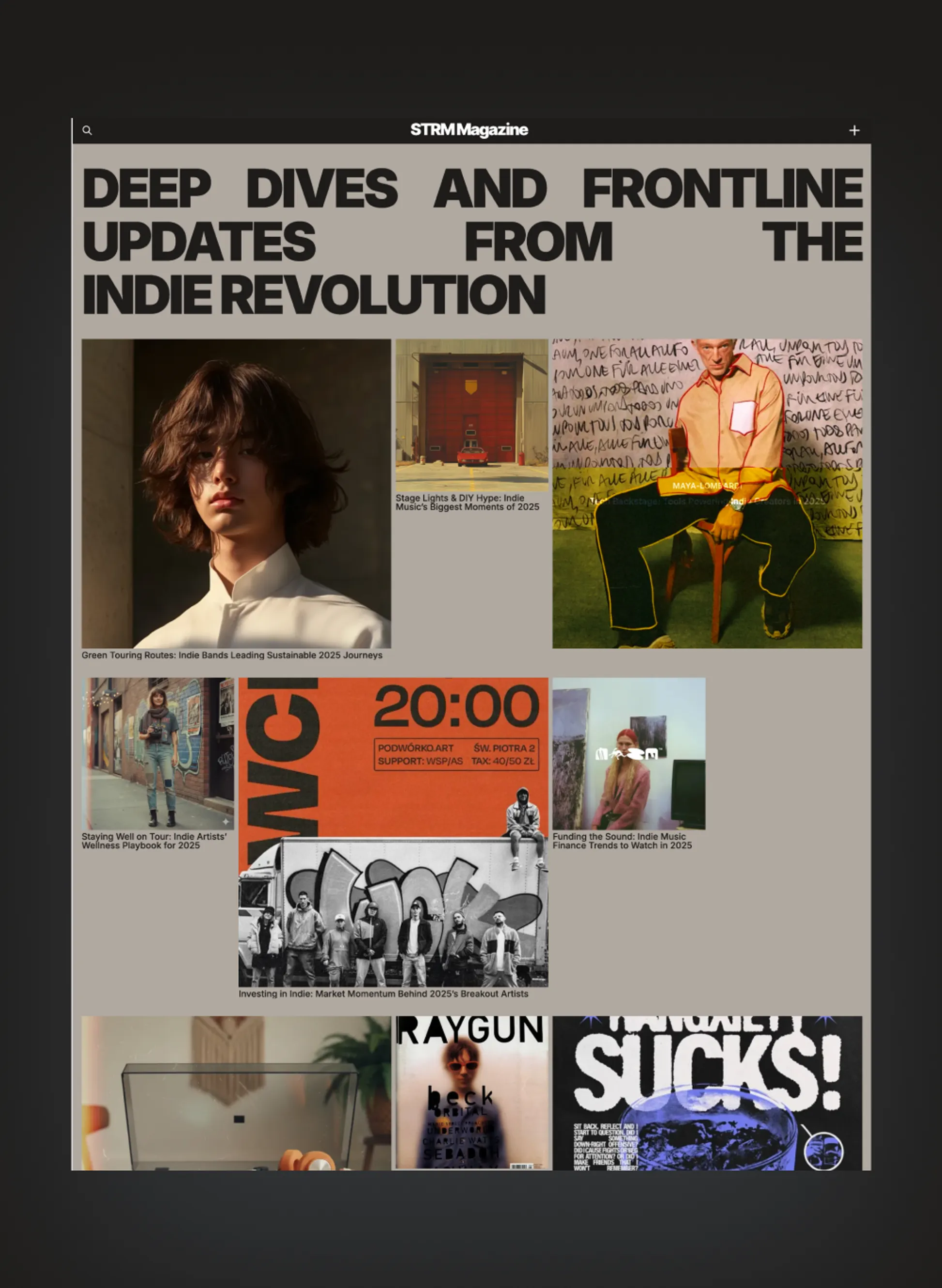 Streamer podcast interface