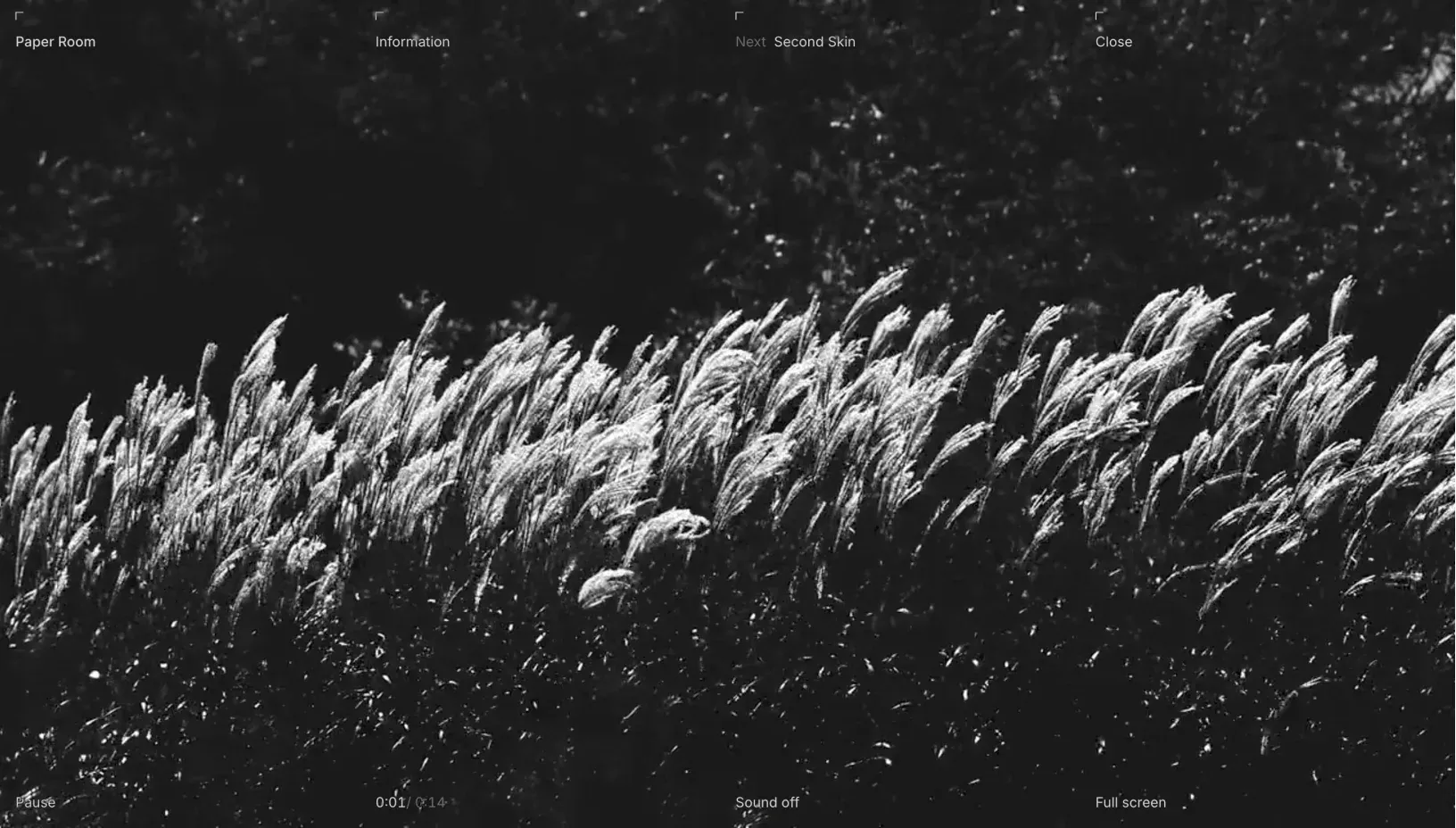 Riflesso full screen film player showing black and white grass in the wind, with the title, information, next and close along the top and play, time, sound and full screen along the bottom