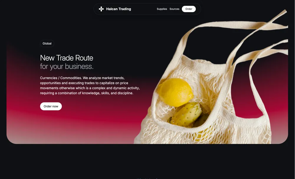 HCI Global Trading website preview